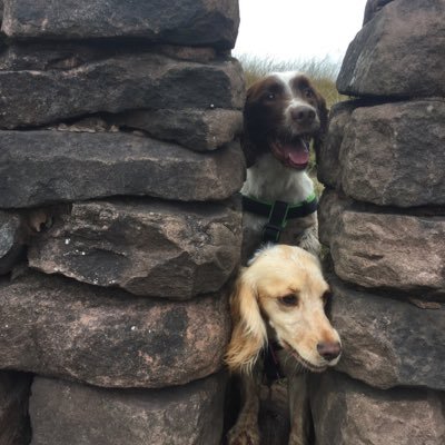 Profile Picture of Matthew Capon (@matthewcapon) on Twitter