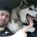 Profile Picture of Scott VanDyke (@scottvdyke) on Instagram