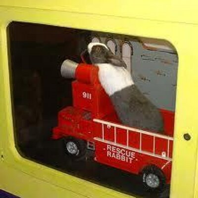 Profile Picture of James Folger (@RabbitFireChief) on Twitter
