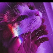 Profile Picture of Angelina Rubakha (@AngelinaRubakha) on Youtube