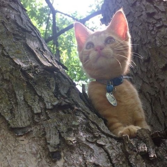 Profile Picture of Lindsay Case (@babycaden06) on Poshmark