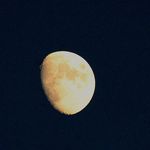 Profile Picture of Chad Osmer (@chad.osmer.5) on Instagram
