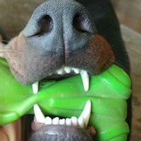 Profile Picture of Gina Schneider (@GinaSch43833555) on Twitter