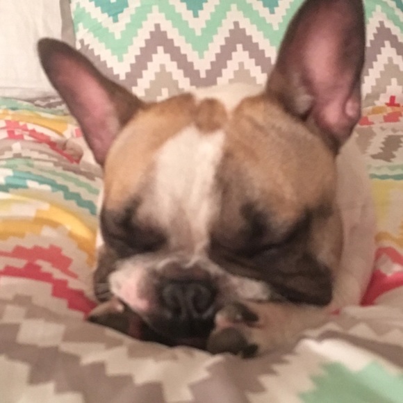 Dazzling dreams jewelry Dreams - Poshmark Profile Picture of Dazzling dreams jewelry Dreams (@lhayman1987) on Poshmark