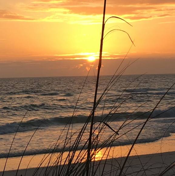 Profile Picture of Denise Huttig king (@dm2535) on Poshmark