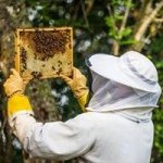 Profile Picture of Eirik Yven (@yven) on Instagram