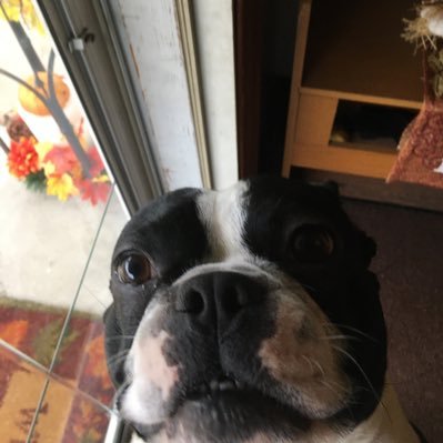 Profile Picture of Avery Grant (@AveryGr23844987) on Twitter