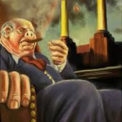 Profile Picture of Michael Ciavarella (@mikematt1719) on Twitter