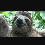 Profile Picture of devon (@devon_preston_11) on Instagram