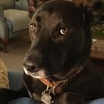 Profile Picture of Sean Pendleton (@pendlpants) on Instagram