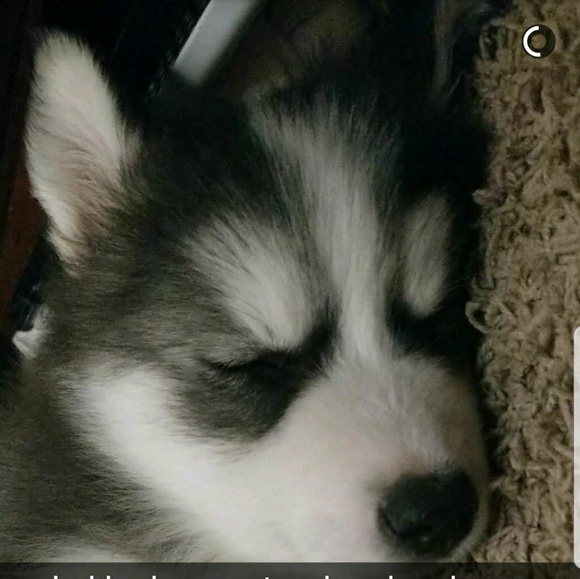 Chris Vazquez - Poshmark Profile Picture of Chris Vazquez (@xique100) on Poshmark