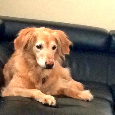 Profile Picture of John Mccartney (@johnmccartney2) on Twitter