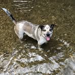 Profile Picture of Nathan Baatz (@CowboySoldier79) on Facebook