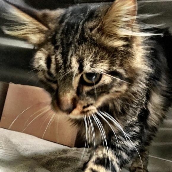 Profile Picture of Michael Morawski (@good4jake) on Poshmark