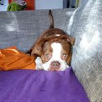 Profile Picture of Alicia Kühnert (@aliciakunert) on Instagram