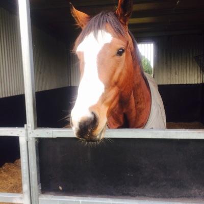 Profile Picture of H (@GaryHollier) on Twitter