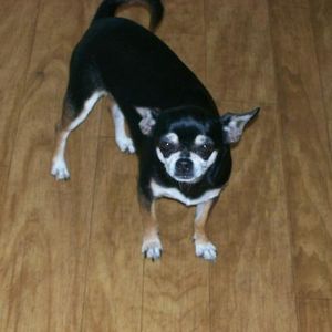 Profile Picture of Lisa Shealy (@poohmom_41) on Myspace