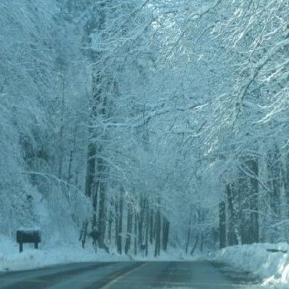 Profile Picture of Scott Vollrath (@vollrath34) on Poshmark