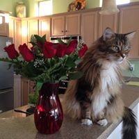 Profile Picture of Susann Pruitt (@susann-pruitt) on Quora