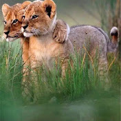 Profile Picture of Christopher Hurst (@christopherhurst6589) on Youtube