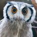 Profile Picture of JOSEPH GRISWOLD (@griswjos000) on Pinterest