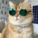 Profile Picture of Melahart Haltermann (@melaharthalternann) on Instagram