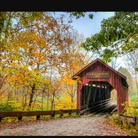 Profile Picture of Tammy Gordon (@talygordon) on Pinterest