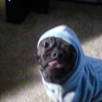 Profile Picture of Colby Moe (@colbymoe21) on Instagram