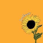 Profile Picture of Libby Adkins (@libbyadkins_closet) on Instagram