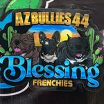 Profile Picture of Dog Breeder Services (@azbullies44) on Instagram