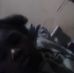 Profile Picture of Renee Mullins (@renee.mullins.378537) on Facebook