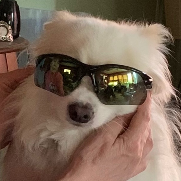 Profile Picture of George Koconis (@gkoco) on Poshmark