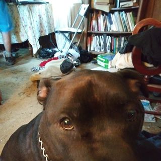 Profile Picture of Cindy Faulkner (Cynthia perry faulkner) (@cindy.faulkner.9) on Facebook