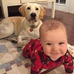Profile Picture of Jim Burkhardt (@jimmyrburkhardt) on Instagram