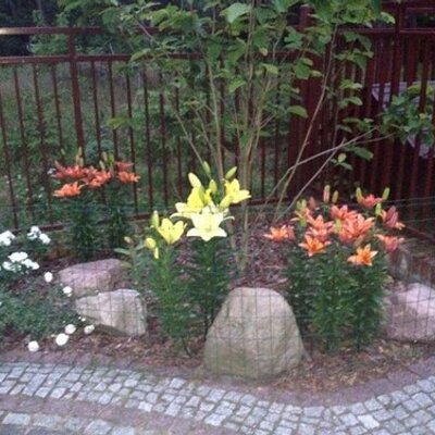 Profile Picture of Michał Kadrzyński (@kadrzyski) on Twitter