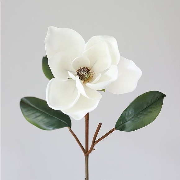 Profile Picture of Sam Wall (@samwallo24) on Poshmark