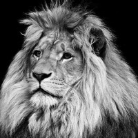 Profile Picture of Brian Escobar (@brian-escobar-12) on Quora