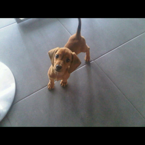 Siu rui Quek - Poshmark Profile Picture of Siu rui Quek (@siuruitest) on Poshmark