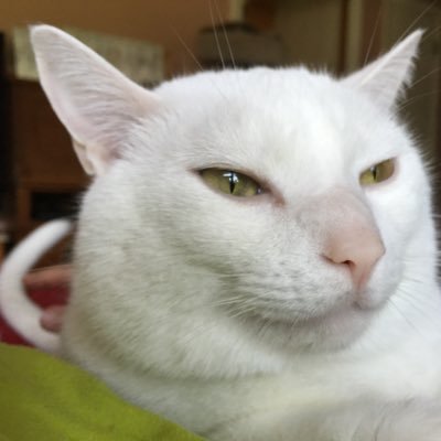Profile Picture of Carole Chandler (@bananaphilip522) on Twitter