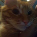 Profile Picture of joseph saucedo (@josephsaucedo0012) on Instagram