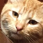 Profile Picture of Nevin Moore (@nevin_moore) on Instagram