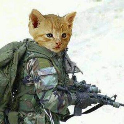 Profile Picture of Alexander Lujan (@alex_lujan1982) on Twitter