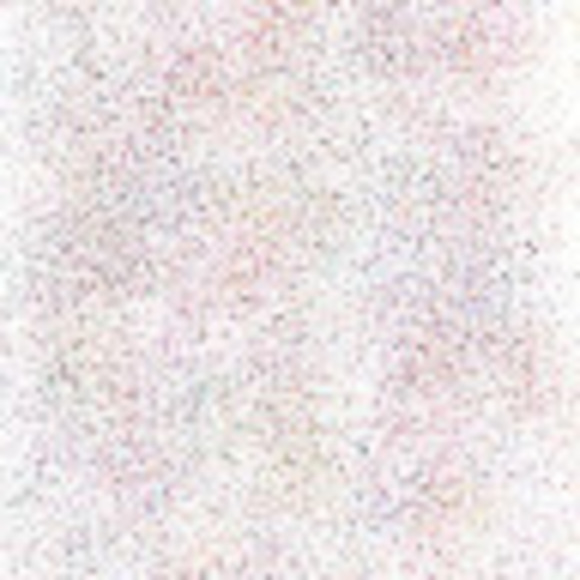 Profile Picture of Anne daniele Narcisse (@annedannar) on Poshmark