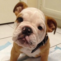 Profile Picture of Chad Sandlin (@chad-sandlin-2) on Quora