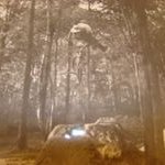 Profile Picture of Chris Barry (@gardenstatefth) on Instagram