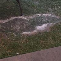 Profile Picture of Lupe Luna (@lupe-luna-2) on Quora