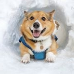 Profile Picture of Asher Stout Harrington (@asher_stout_harrington) on Instagram