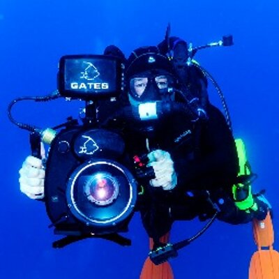 Profile Picture of Aaron Szimanski 🇨🇦 🇵🇱 🐬 (@AaronSzimanski) on Twitter