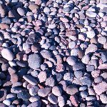 whitney cakes - Instagram Profile Picture of whitney cakes (@opal_ink) on Instagram