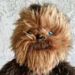 Profile Picture of James Ernster (@jaernster) on Instagram